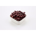 HPS Red Vigna Bean Market Price Red Bean Adzuki Bean